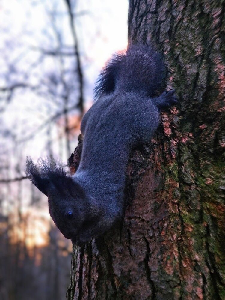Photograph by Игорь Бахарев