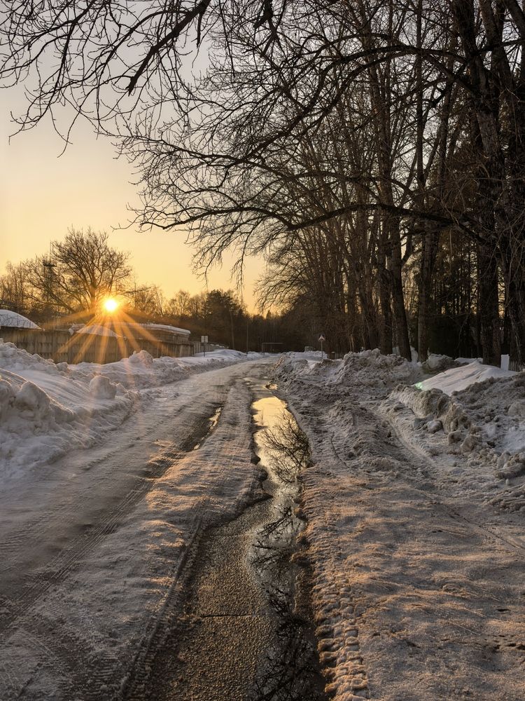 Photograph by Елена Охапкина