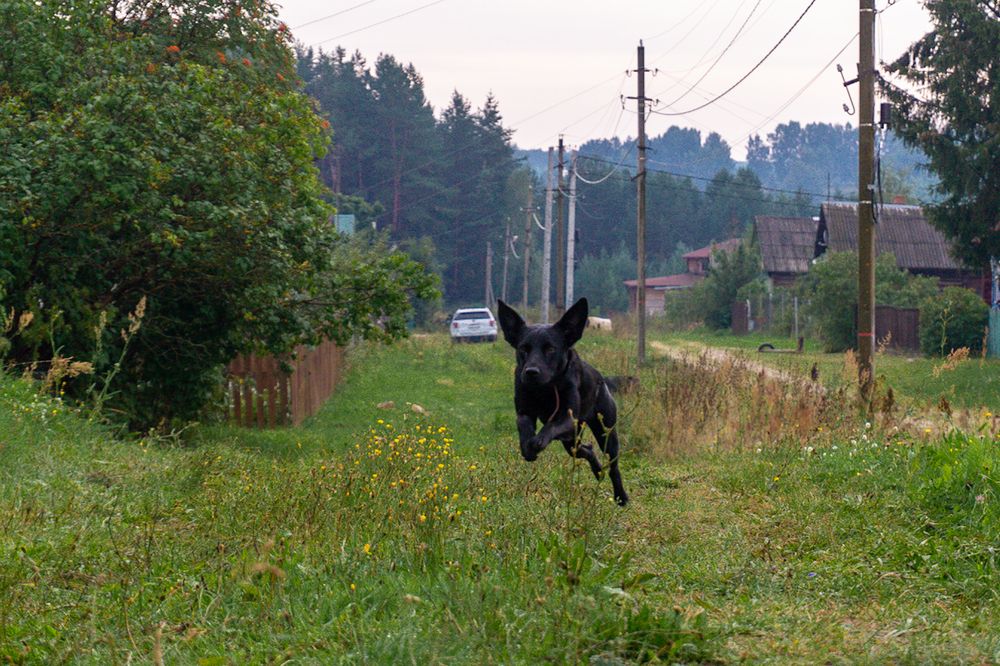 Photograph by Сергей Юрин