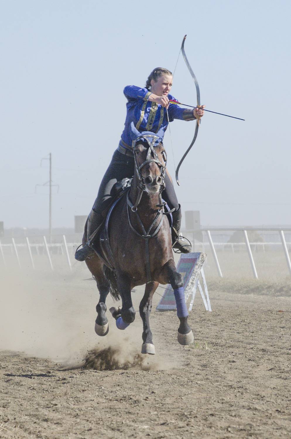Photo #13507775