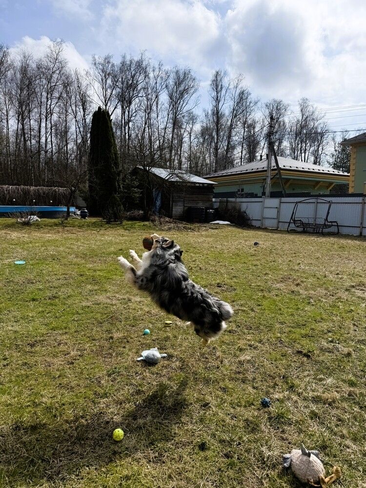 Photograph by Светлана Парамонова