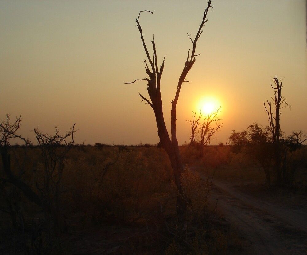 Photograph by Ирина Орлова