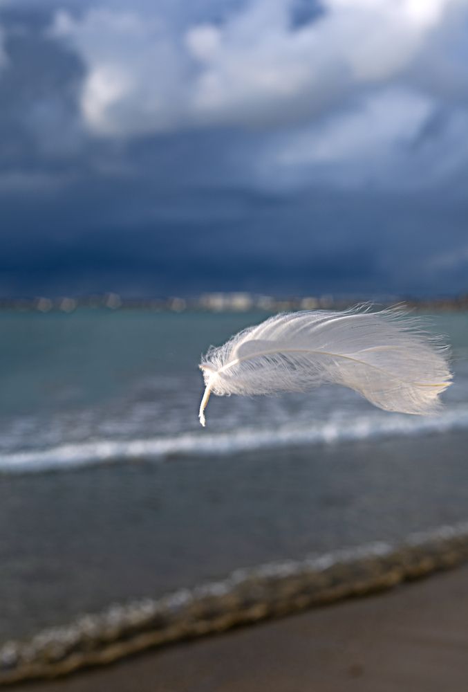 Photograph by Наталья Шевелева
