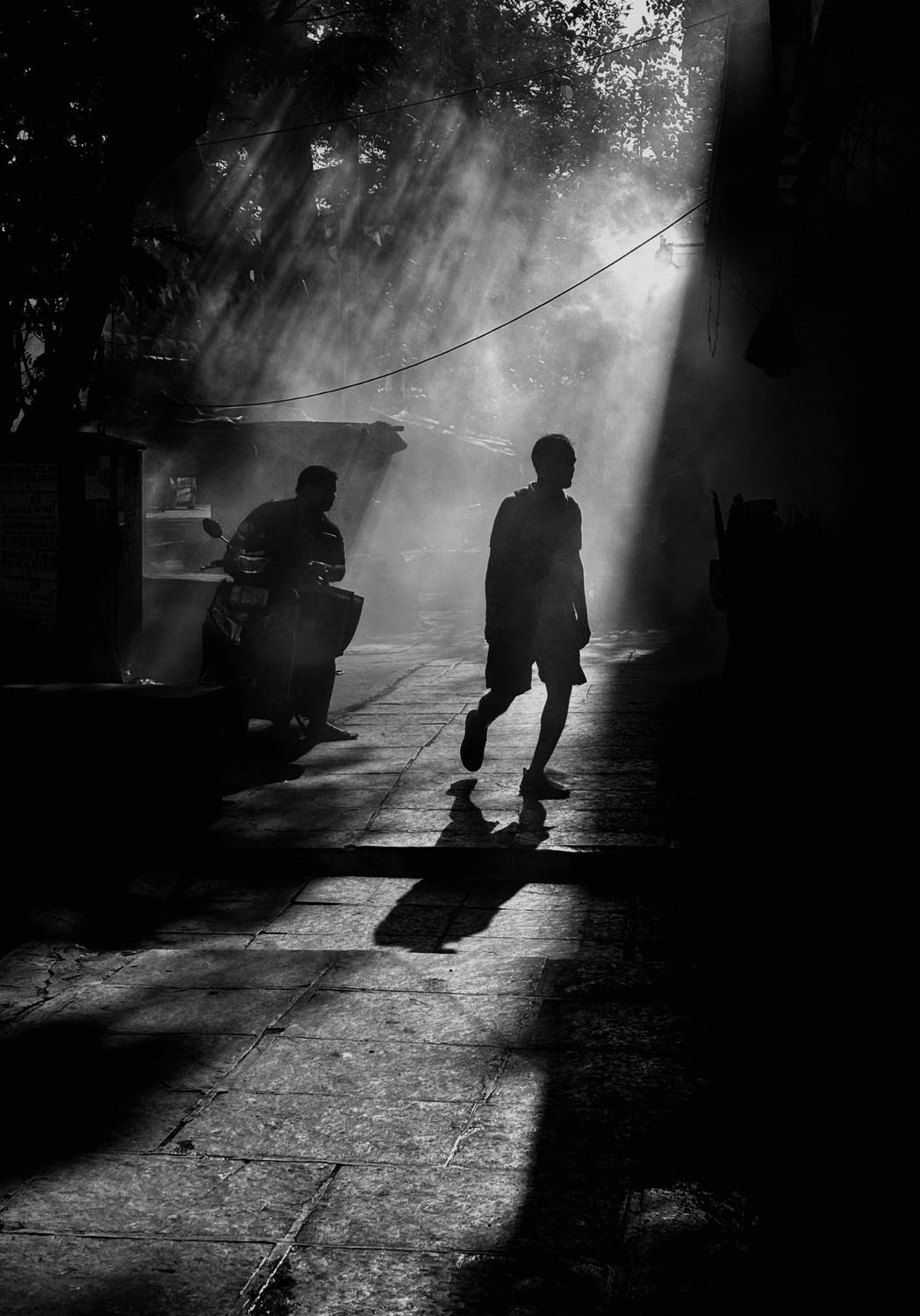 “Where Light Decides”