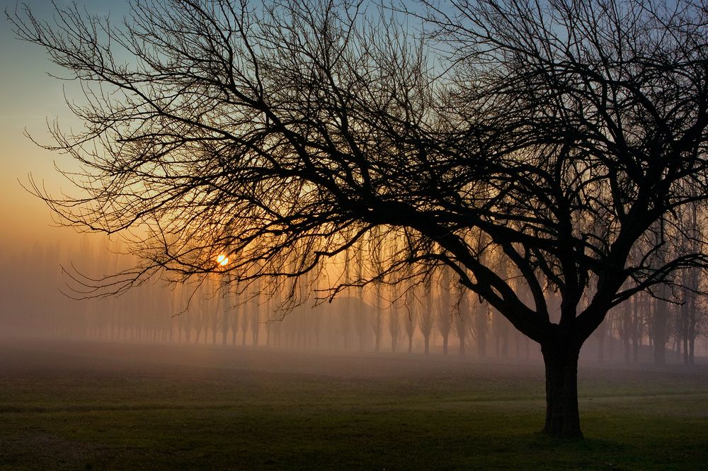 The end of an autumn day