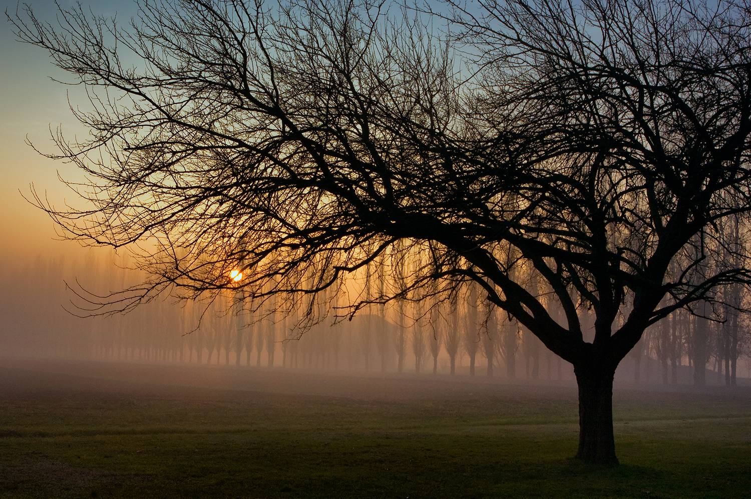 The end of an autumn day