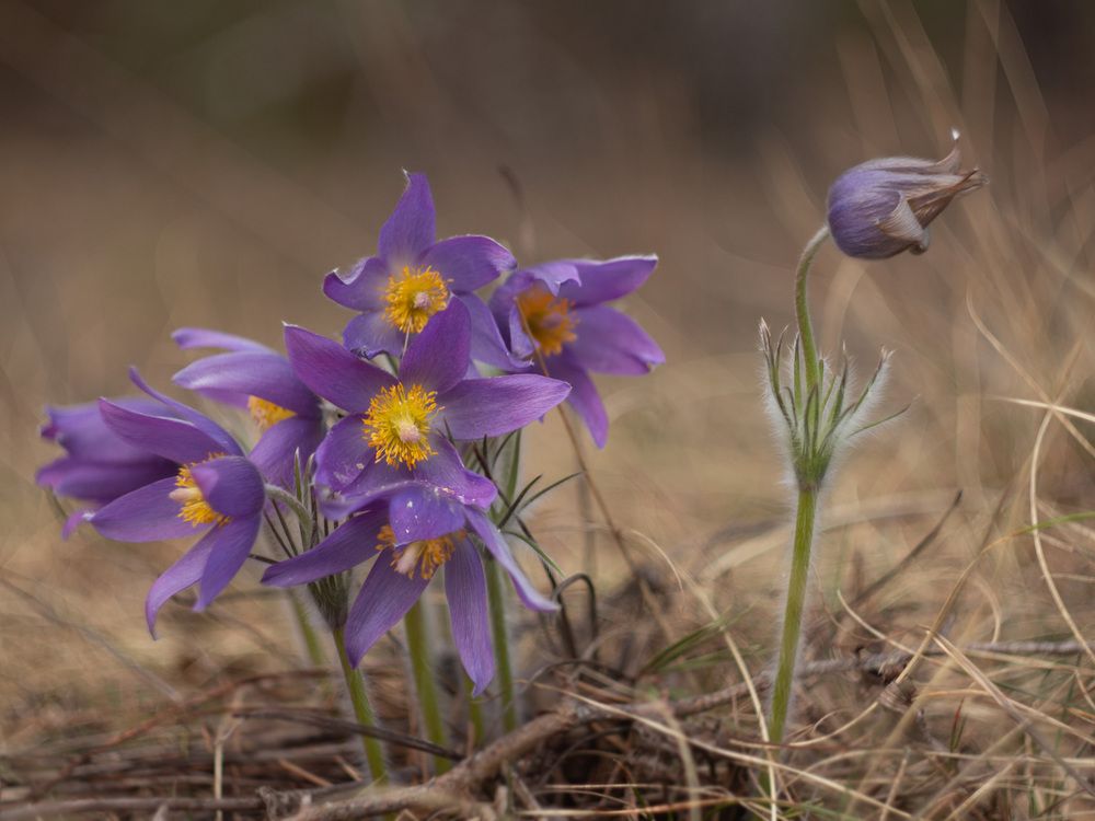 Photograph by Анна Масленникова-Бриль