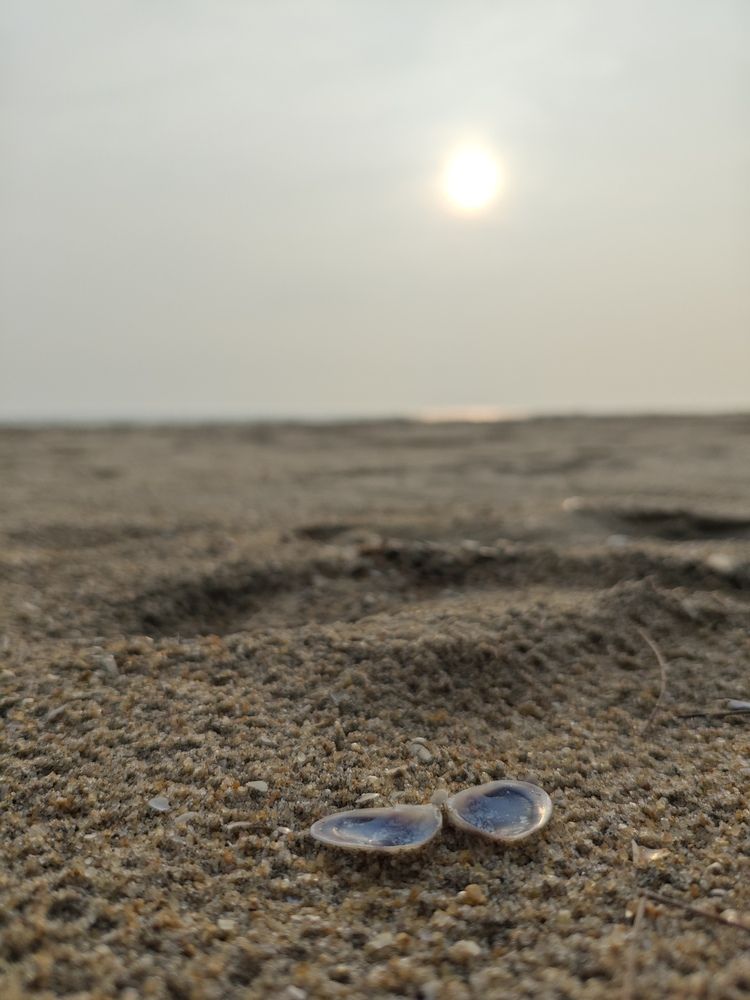 Photograph by Kavi priya G