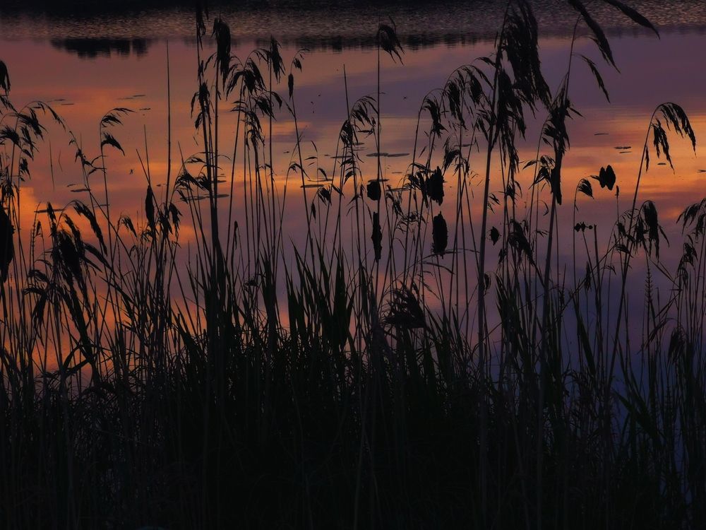 Photograph by Евгения Булычёва