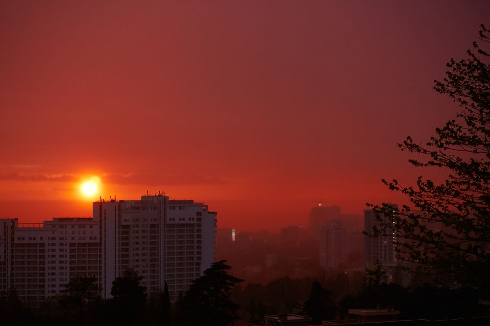Photograph by Елена Звягина