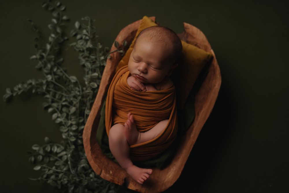 Photograph by Natalie K.