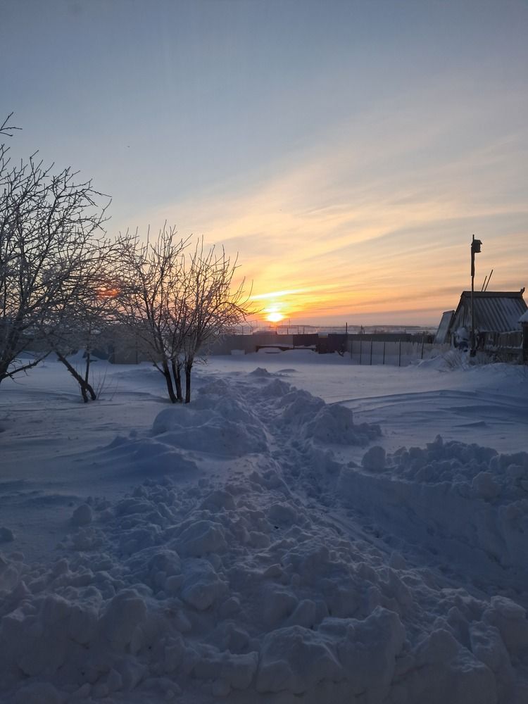 Photo #13508909