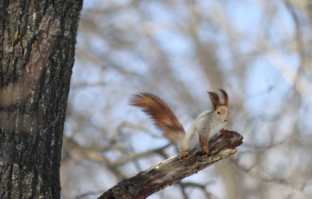 Photograph by Мария Толкачёва