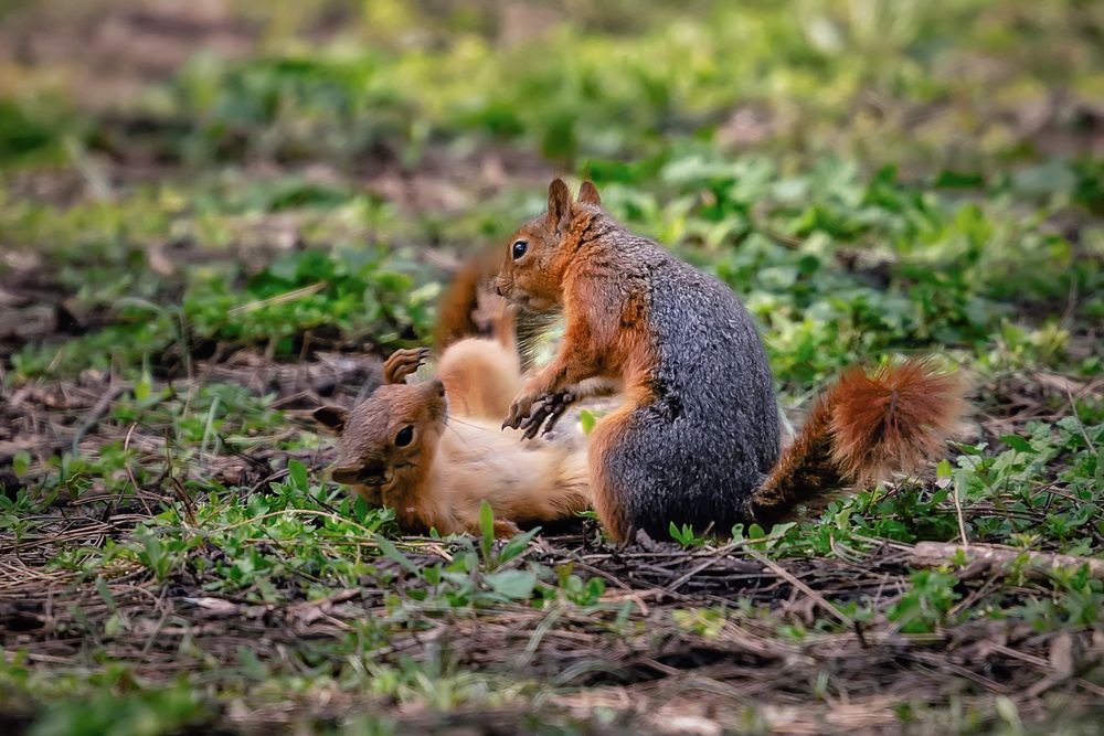 Photograph by Андрей Барышников