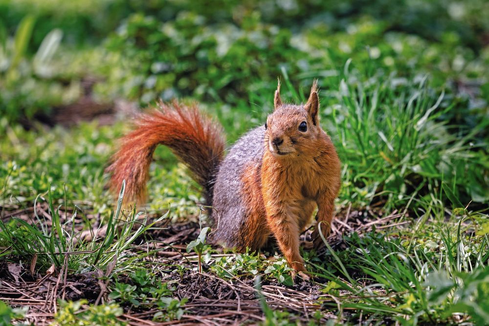 Photograph by Андрей Барышников