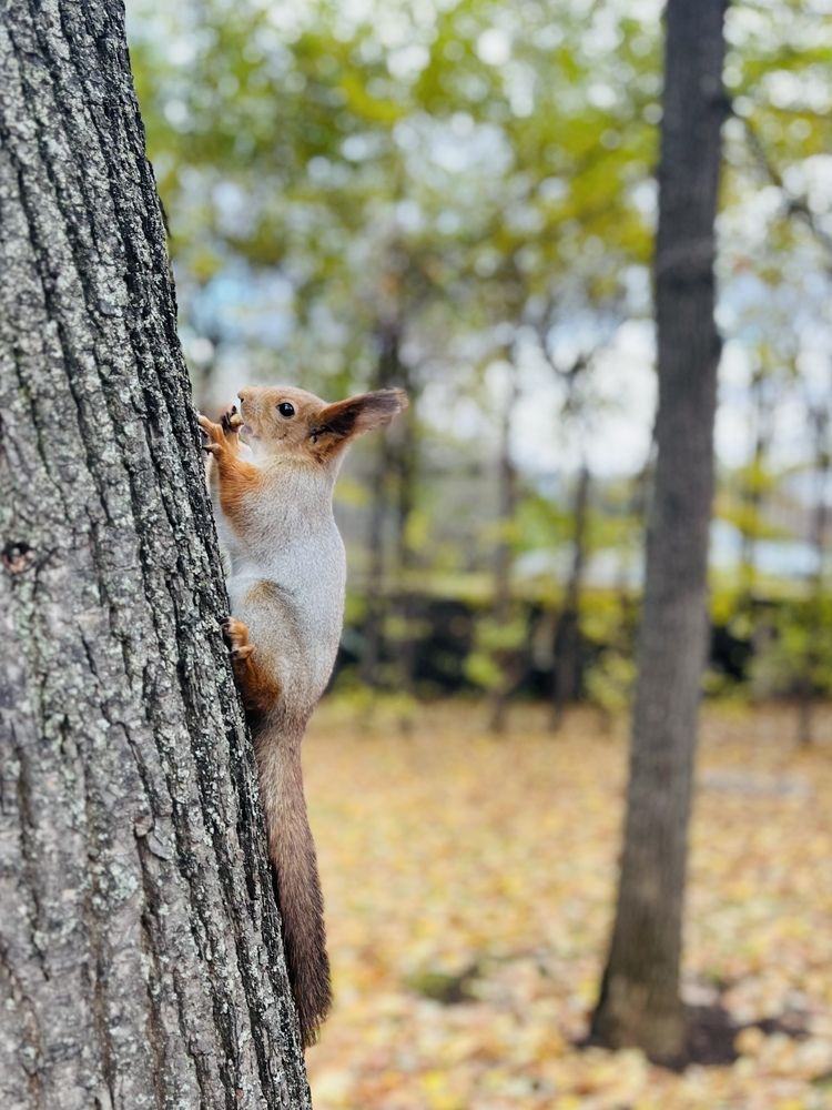 Photograph by Irina Ginbert