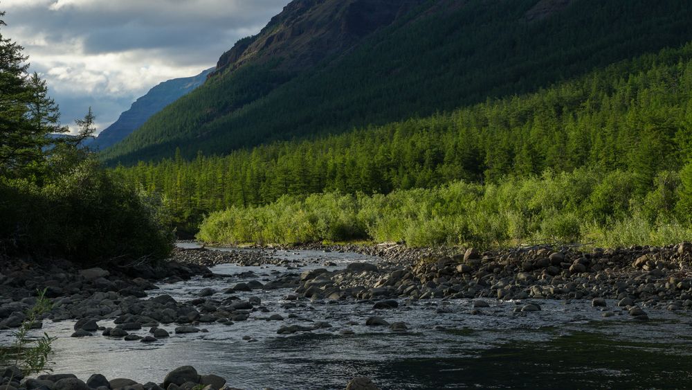 Photo #13509187