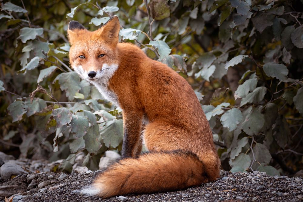 Photograph by Оксана О.