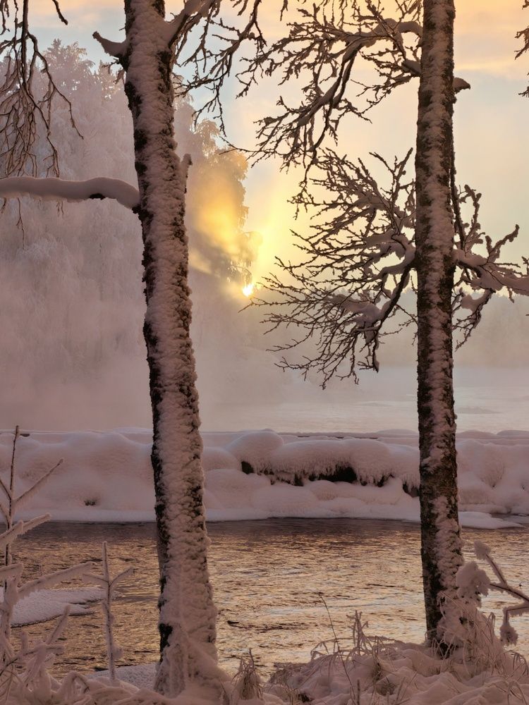 Photograph by OLga Piirainen