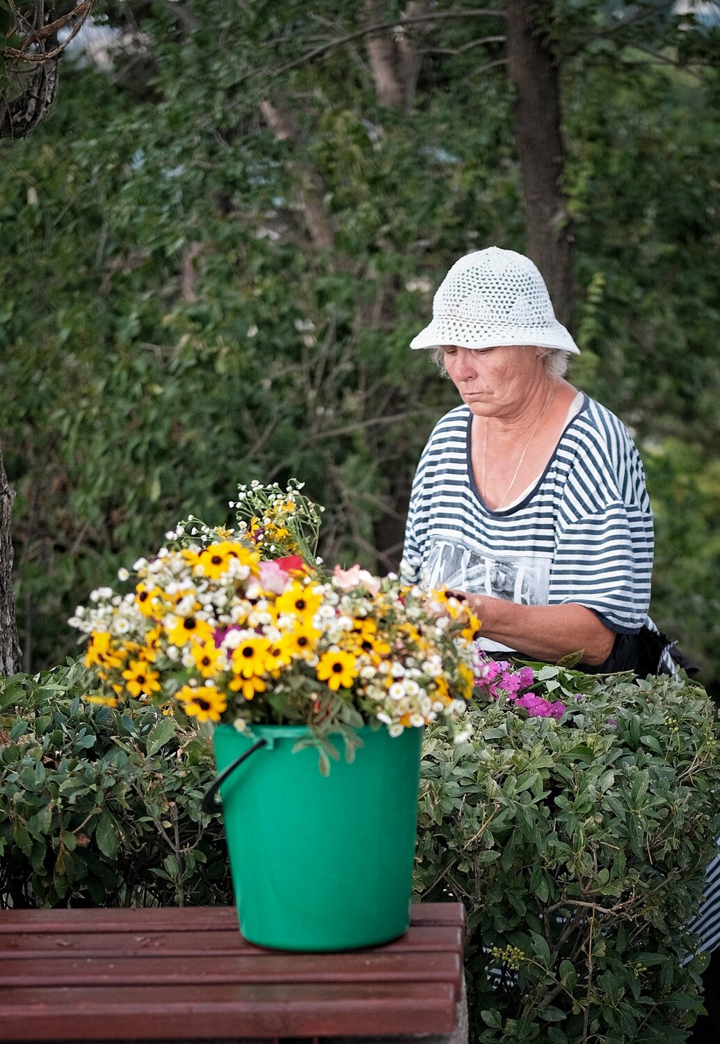 Photo #13509449