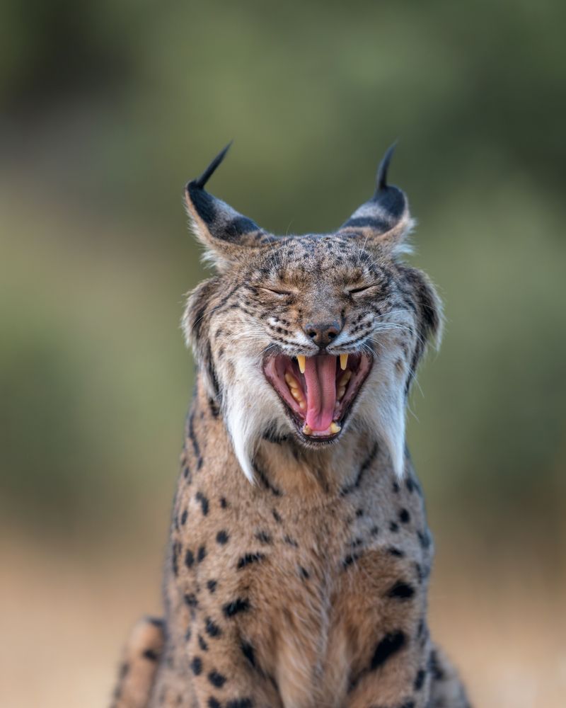 Photograph by Lyubomir Momchilov