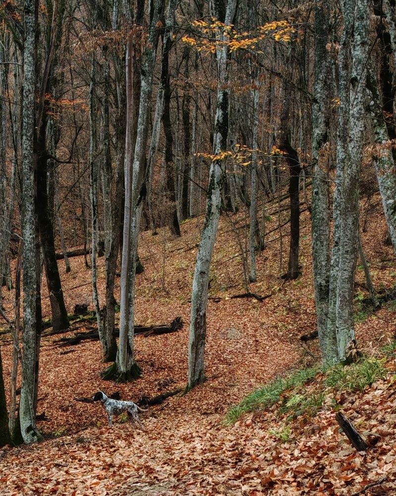 Photograph by Сергей Кошин