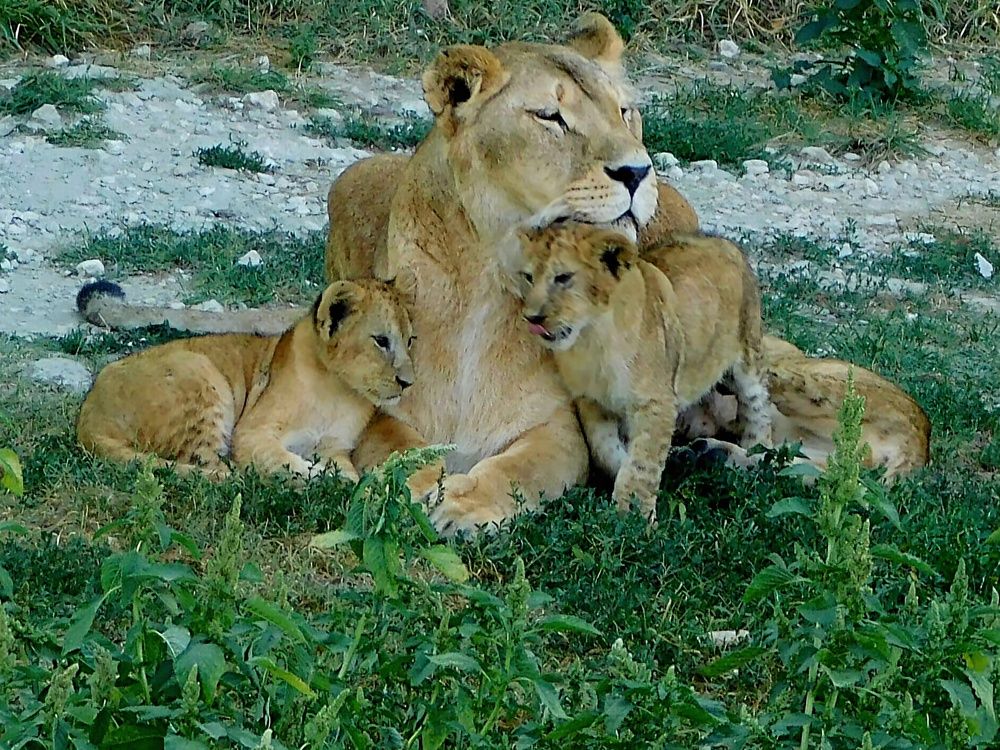 Photograph by Куделенко Оксана