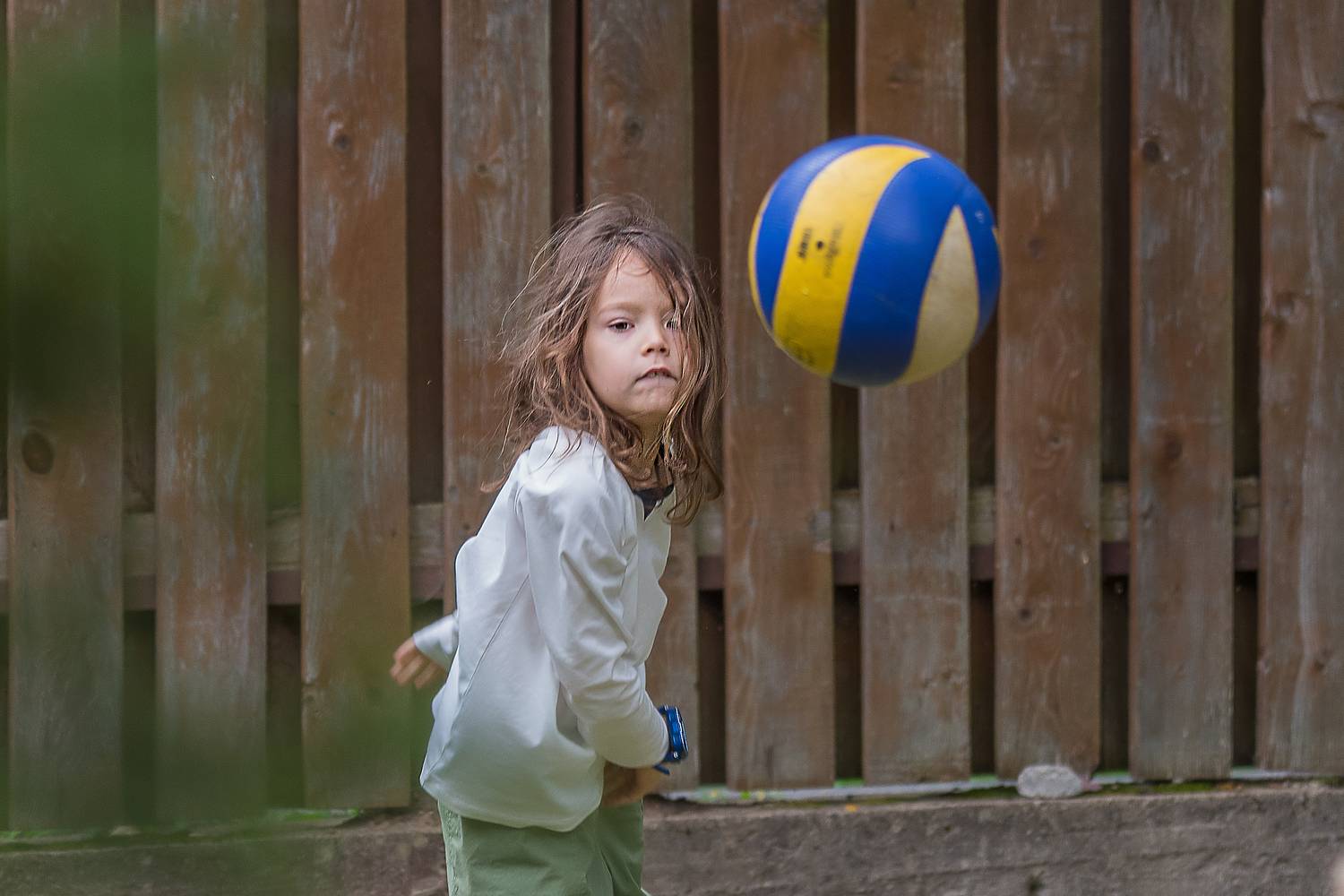 Photo #13509985