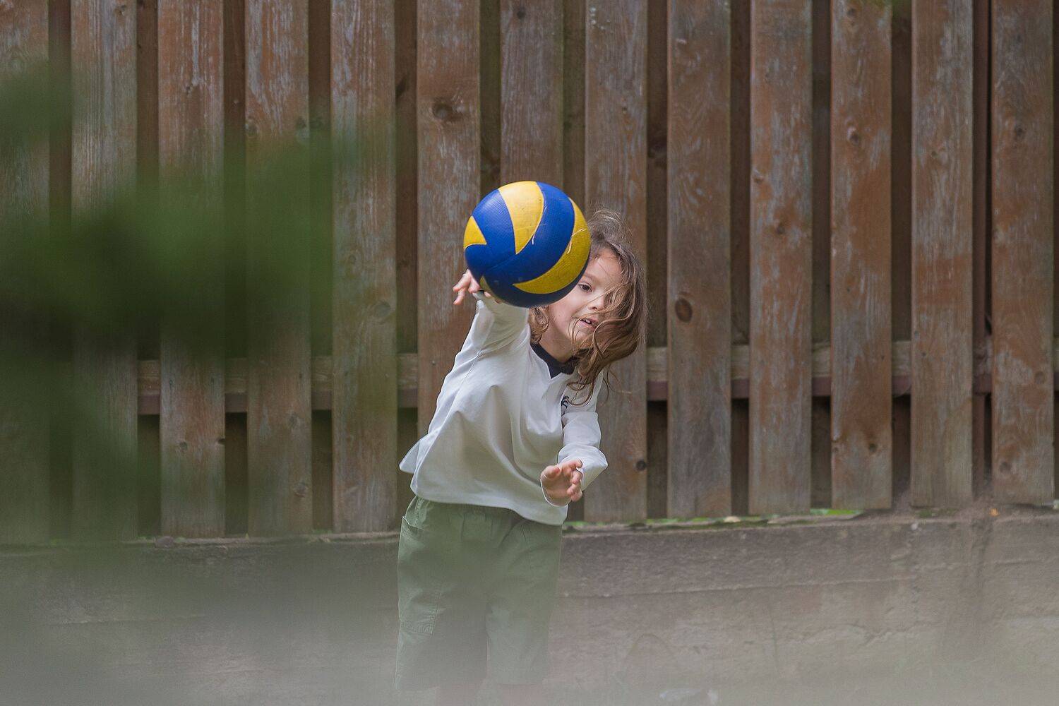 Photo #13510205