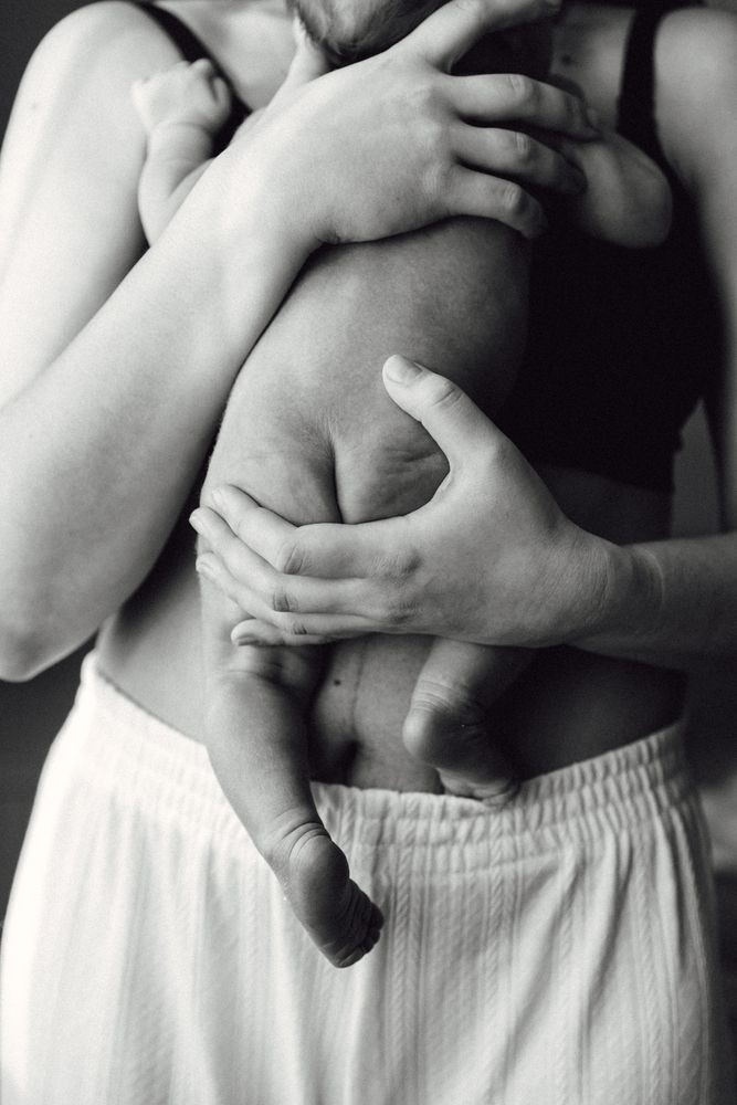 Photo #13510638