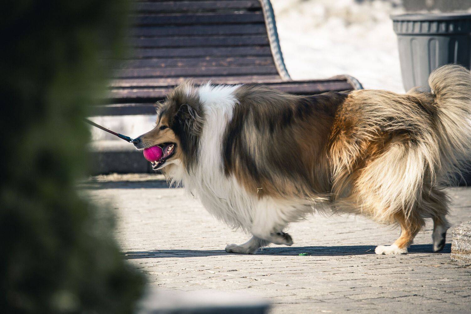 Photo #13510657