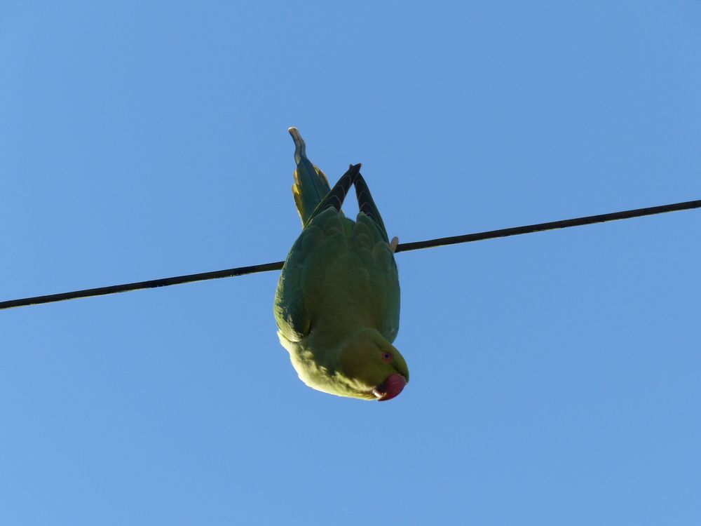 Photograph by Isabella Northrop