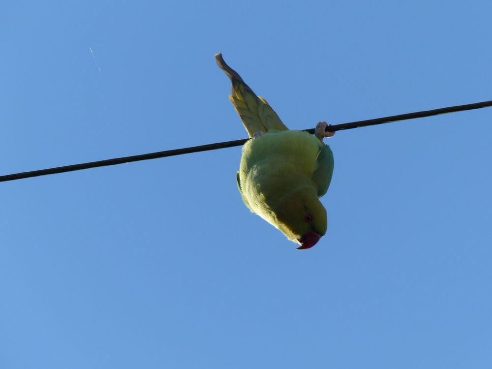 Photograph by Isabella Northrop
