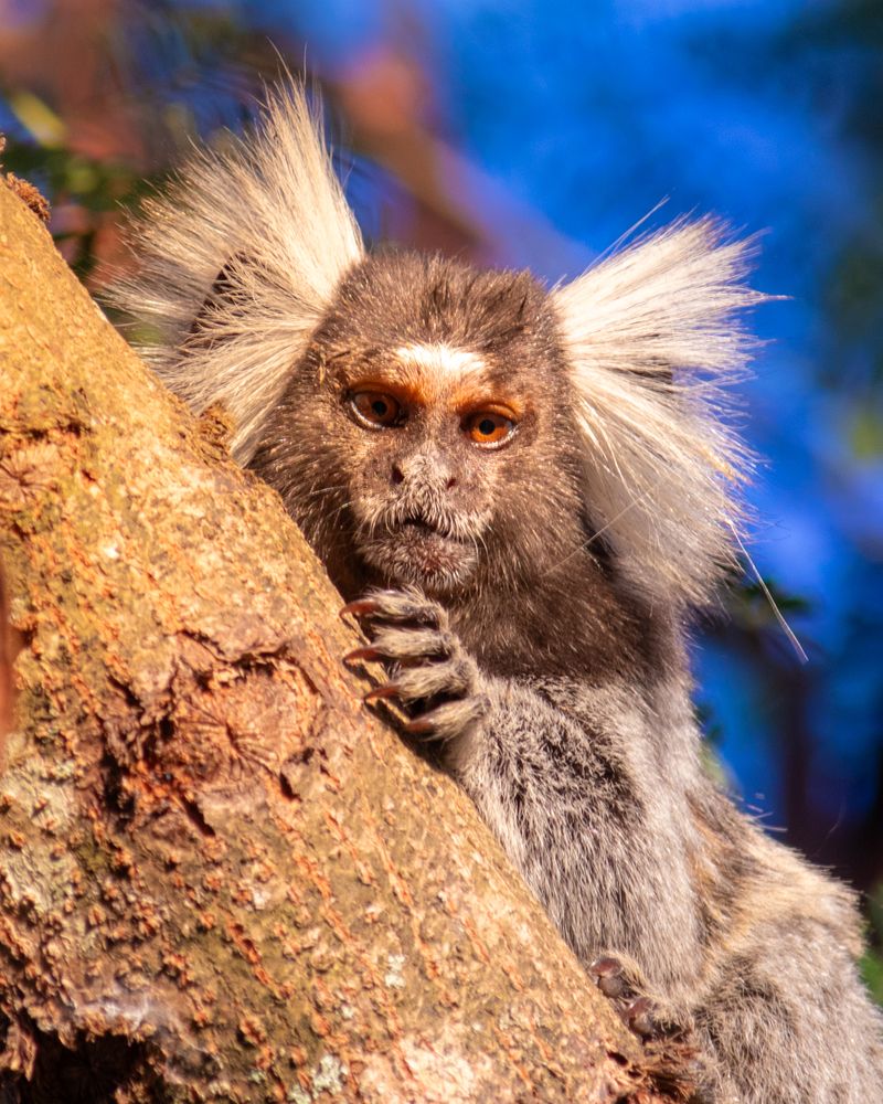 Photograph by Silvio José