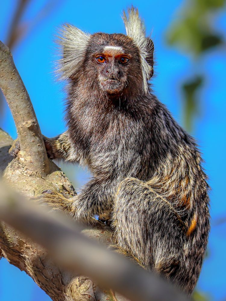 Photograph by Silvio José