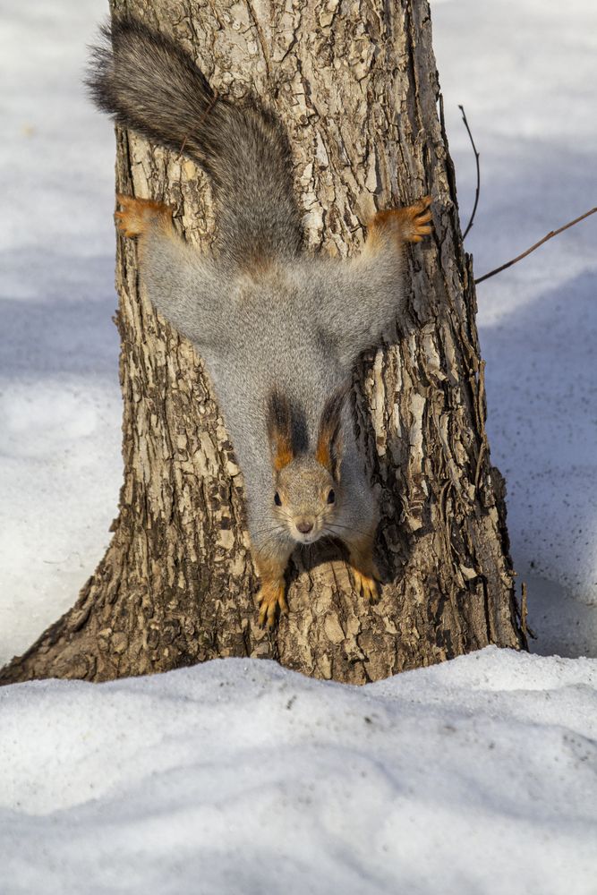 Photo #13510837