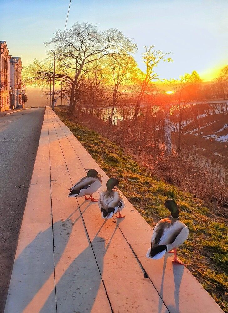 Photograph by Дмитрий Сорокин