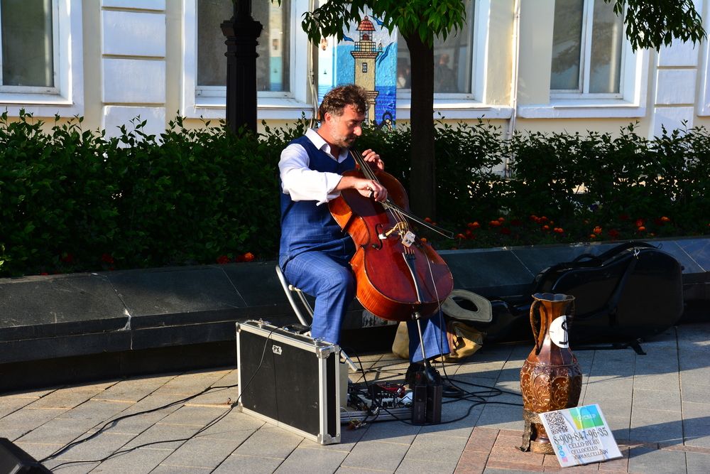 Photo #13511334