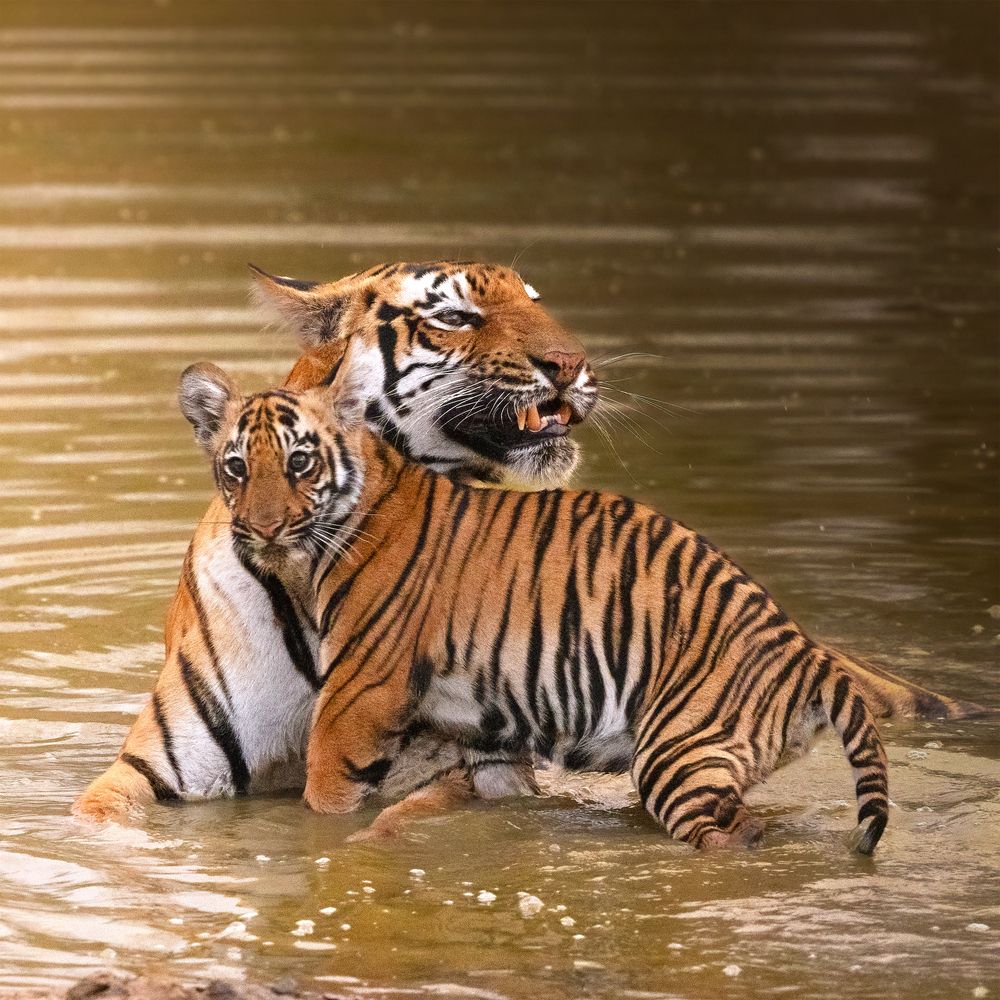 Photograph by nitin jain
