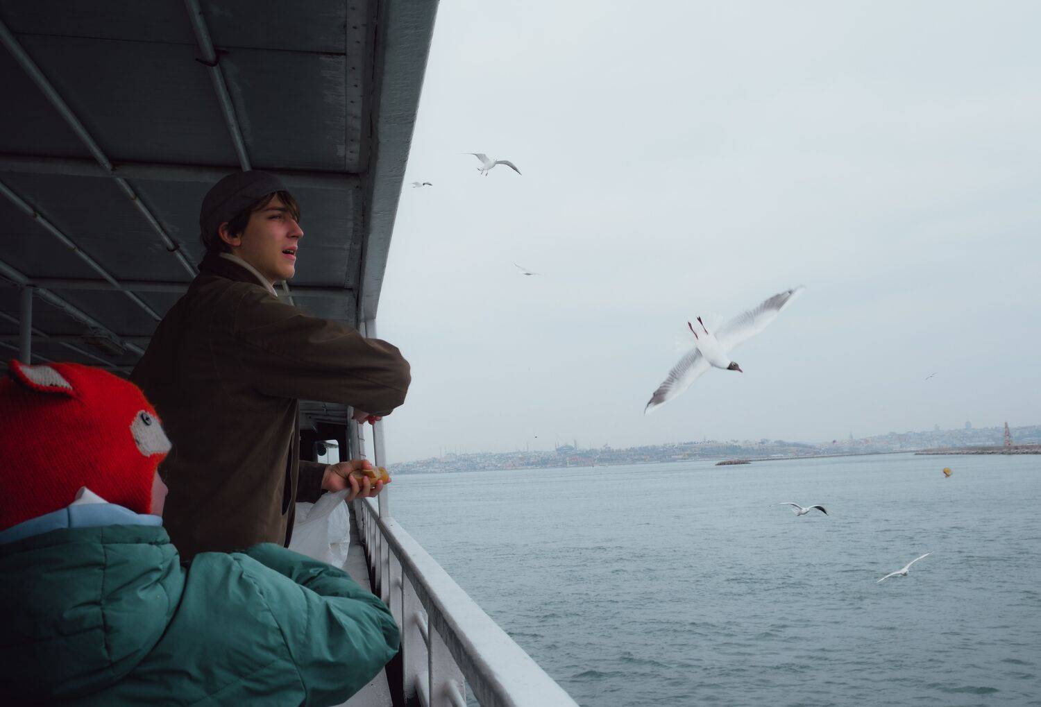 Photo #13511501