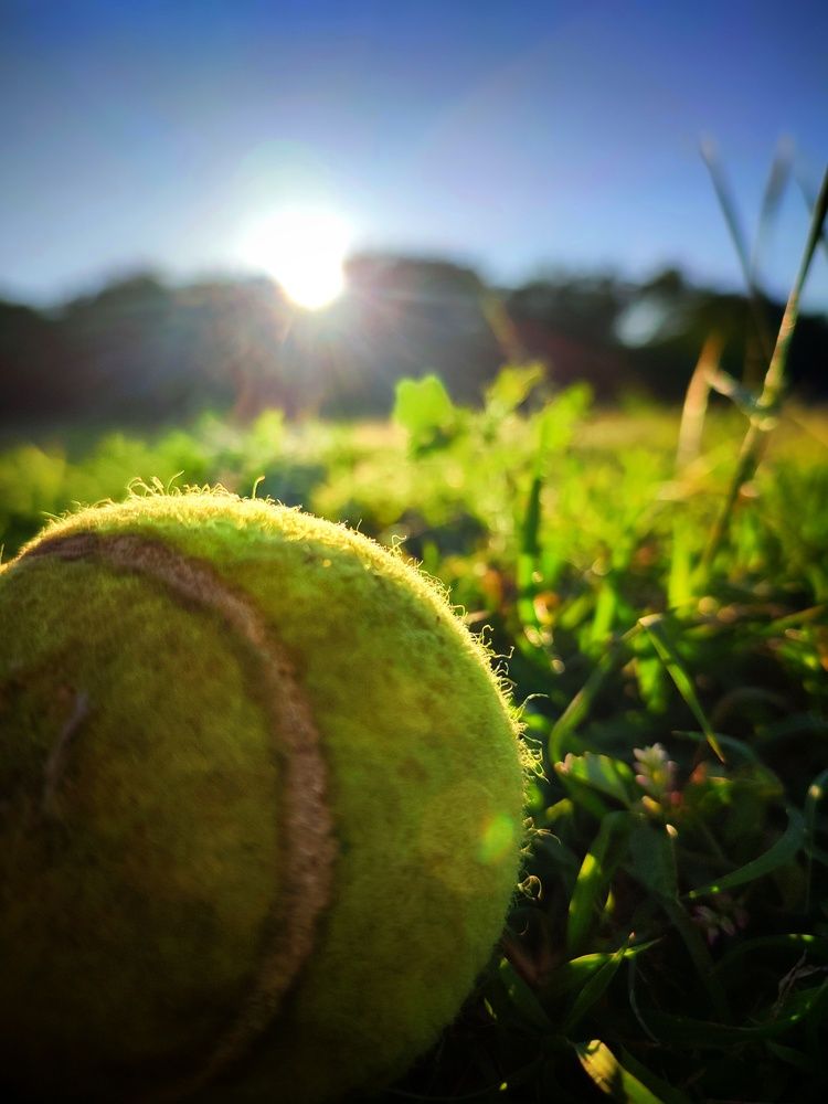 Photograph by Buddhika Dinuranga