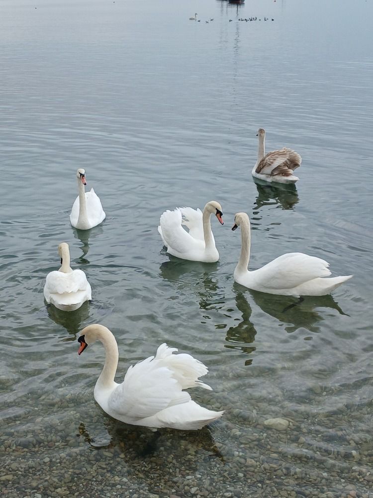 Photograph by Слесарева Елизавета