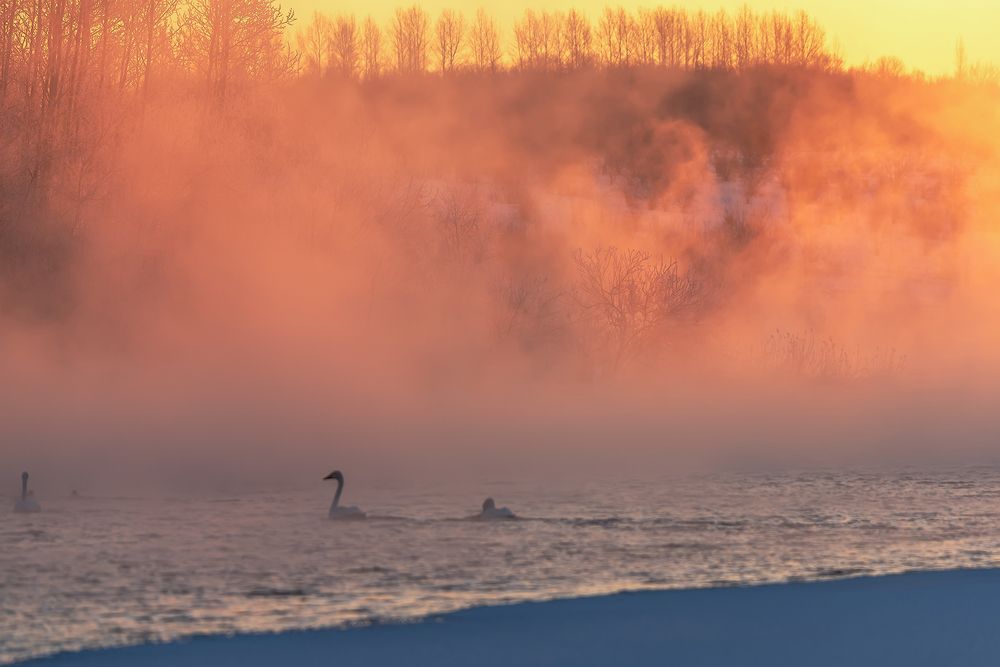 Сильный мороз