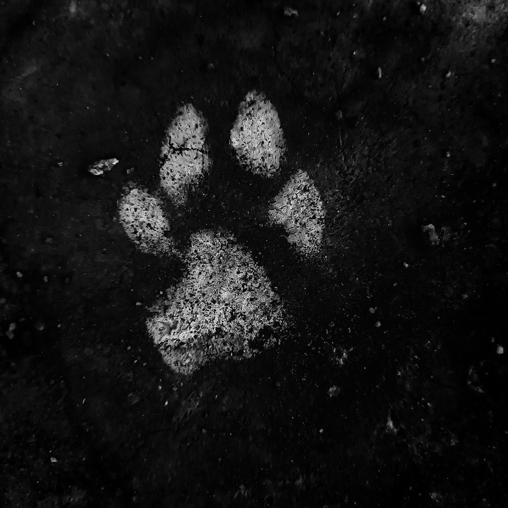 Paw mark