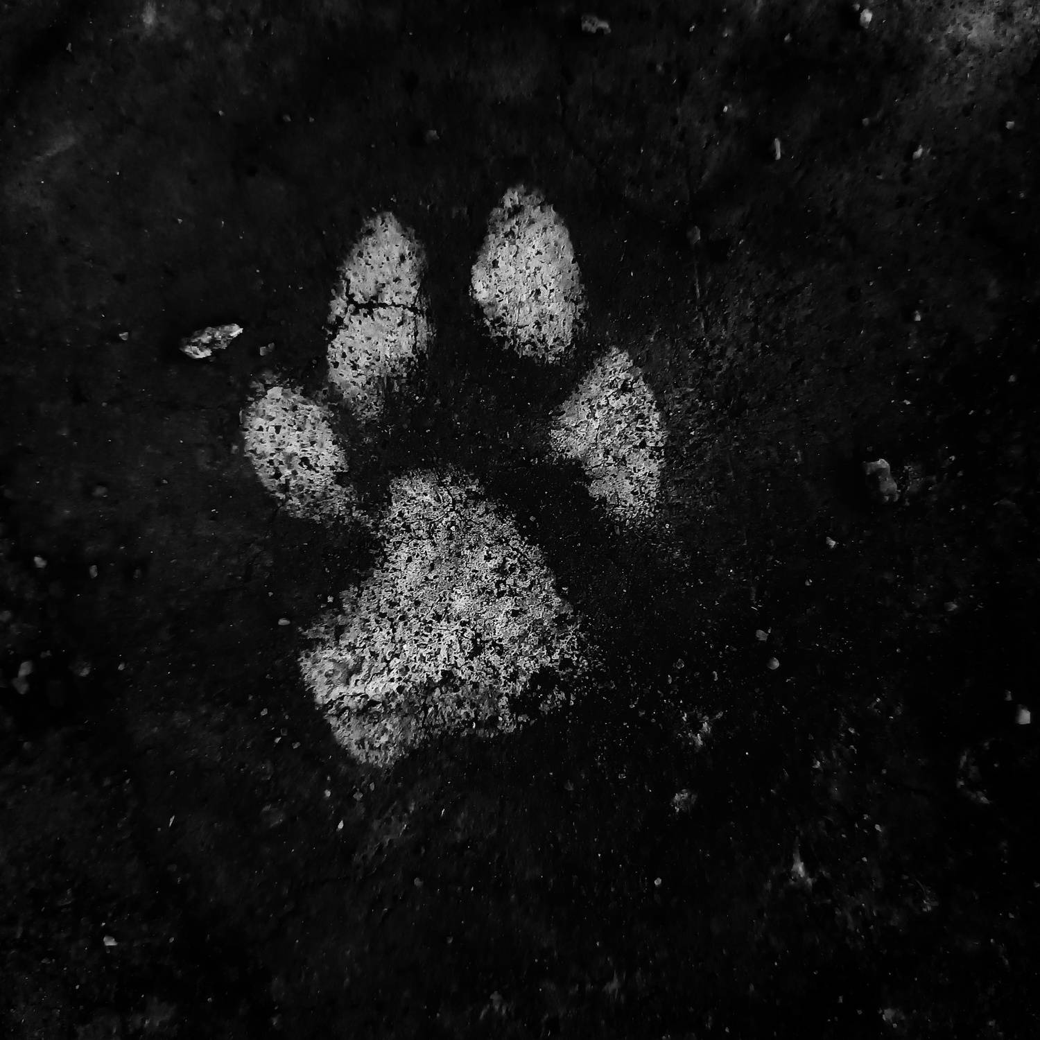 Paw mark