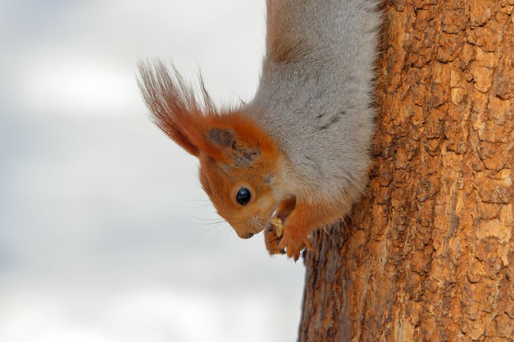 Photograph by Светлана Долотова