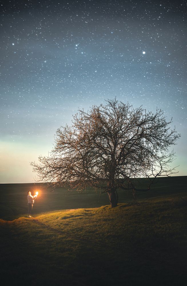 Photograph by Олег Сухенко