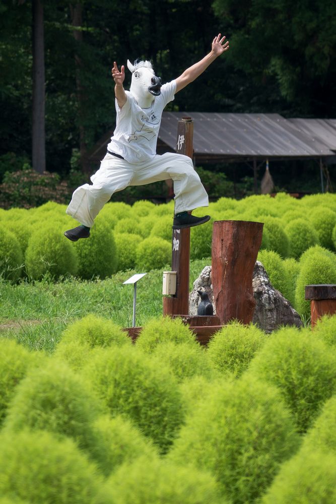Photograph by Gunma No UMA