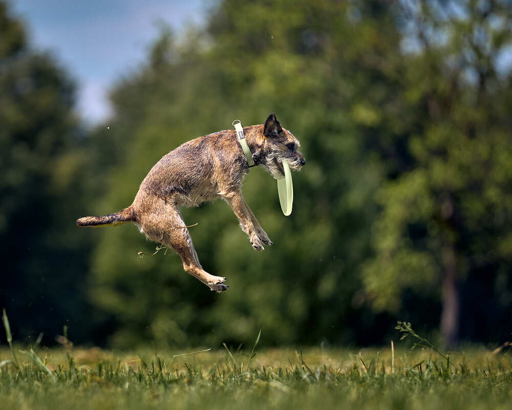Photograph by Mikhail Khmelevskiy