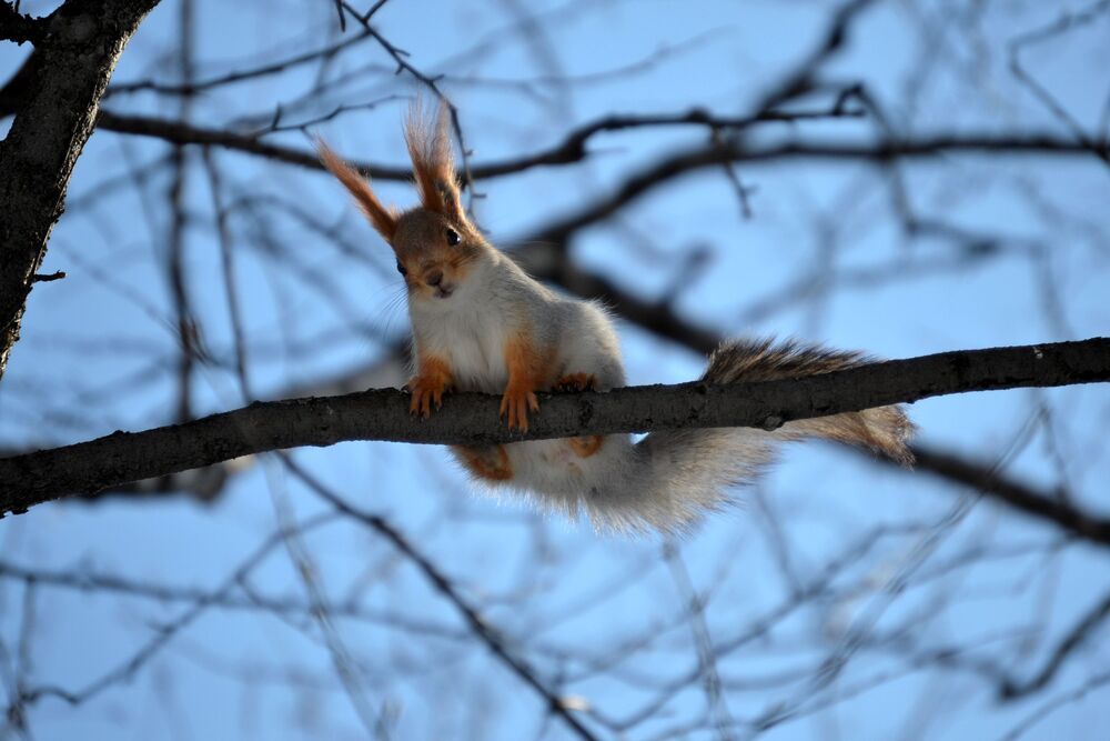 Photograph by Екатерина Шустова